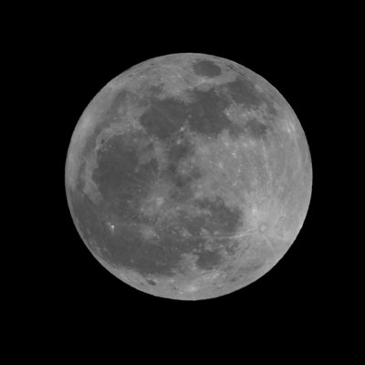 Guess who's coming tonight_5370304843_l.jpg